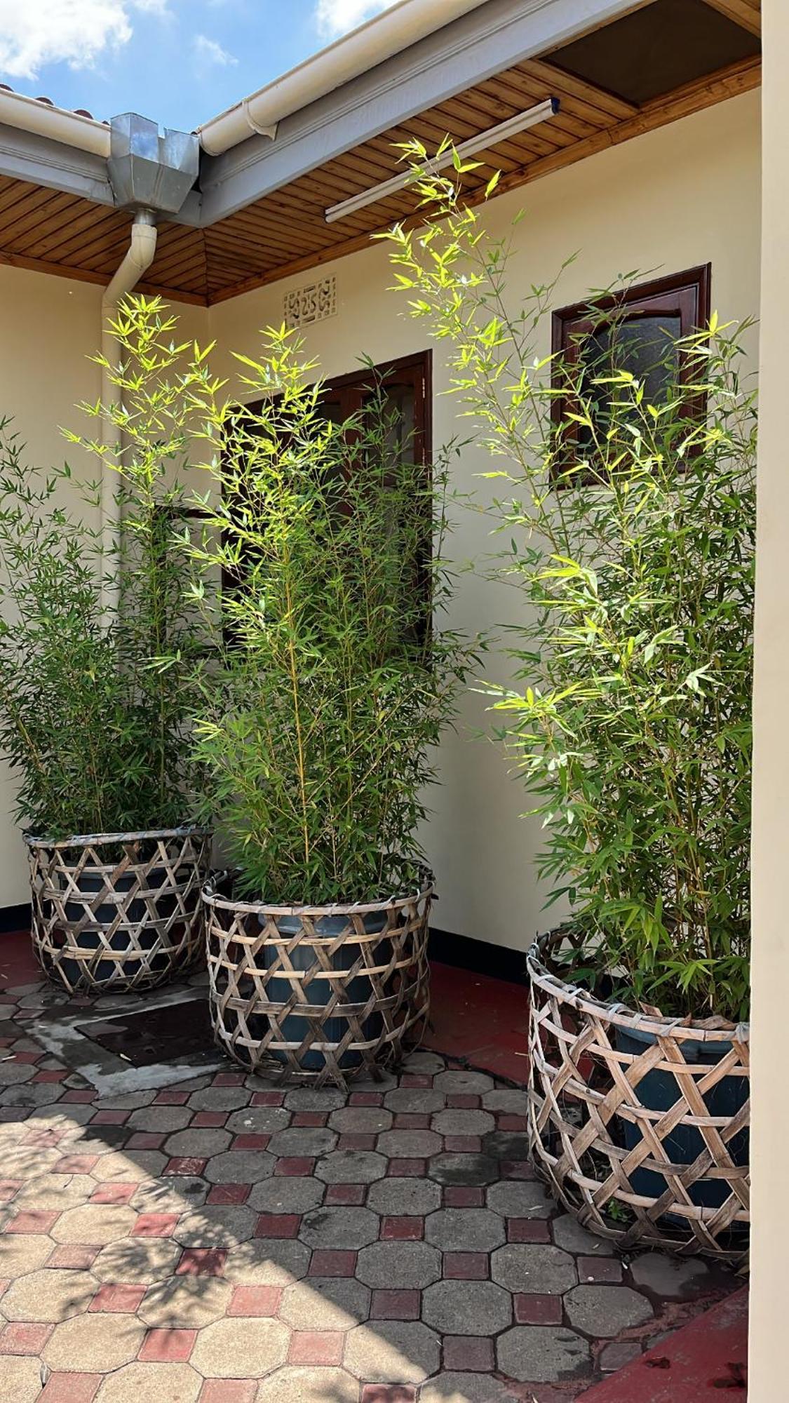 مبيت وإفطار Stasumo House أروشا المظهر الخارجي الصورة